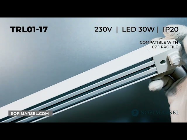 TRL01-17/TRL01-18 SPOT MONOPHASÈ